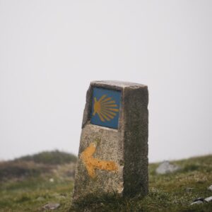 A stone marker with a blue and yellow arrow painted on it